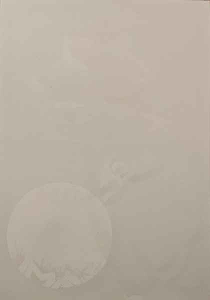 “Cristo risorge per la pace” in questa foto invisibile e poi visibile in due stadi diversi di apparizione